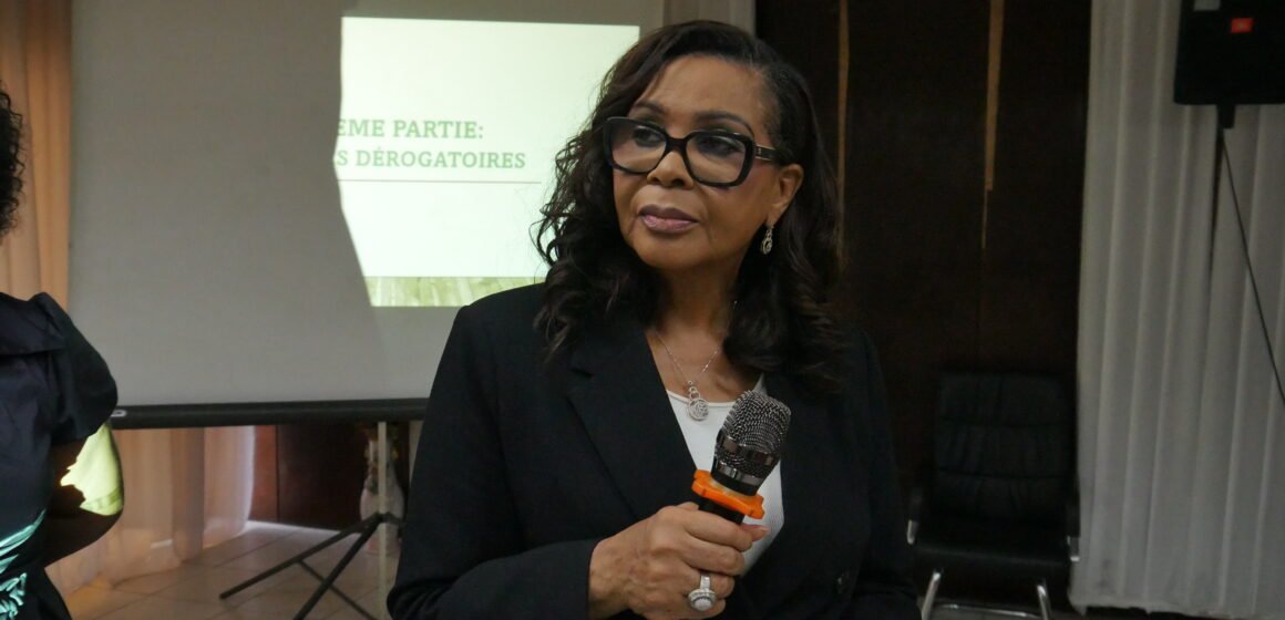 Fiscalité : Hélène Zoua-Ondo appelle à une « rééducation fiscale » des entrepreneurs gabonais