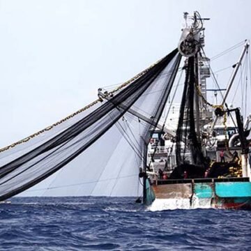 Le Gabon rompt l’accord de pêche avec l’Union européenne