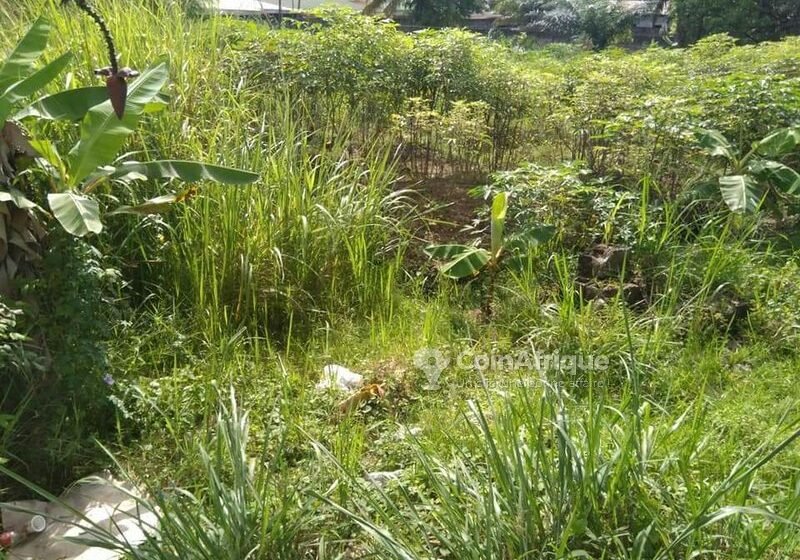 Essassa-Bissobinam sous le choc après l’assassinat d’un boutiquier