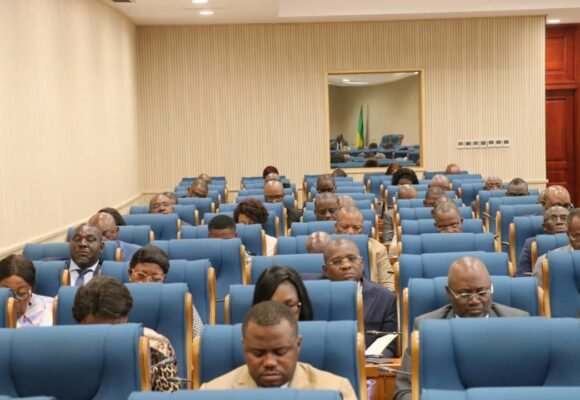 Audition : Les députés planchent sur le règlement du Congrès du Parlement au Palais Léon Mba.