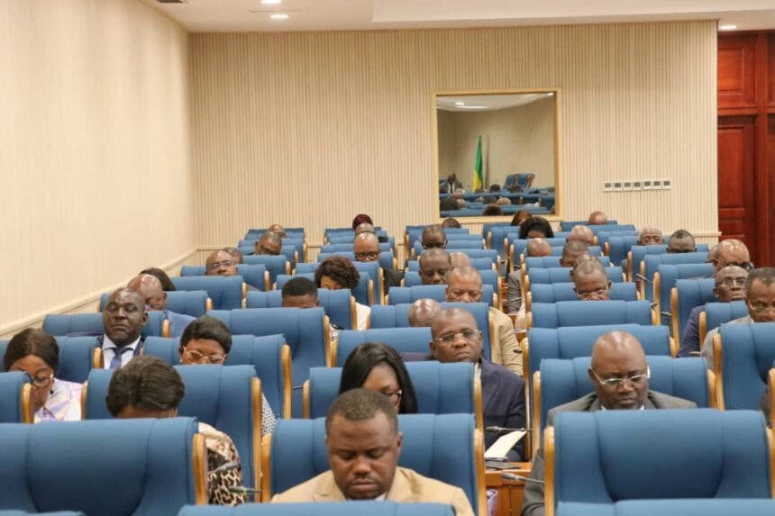 Audition : Les députés planchent sur le règlement du Congrès du Parlement au Palais Léon Mba.
