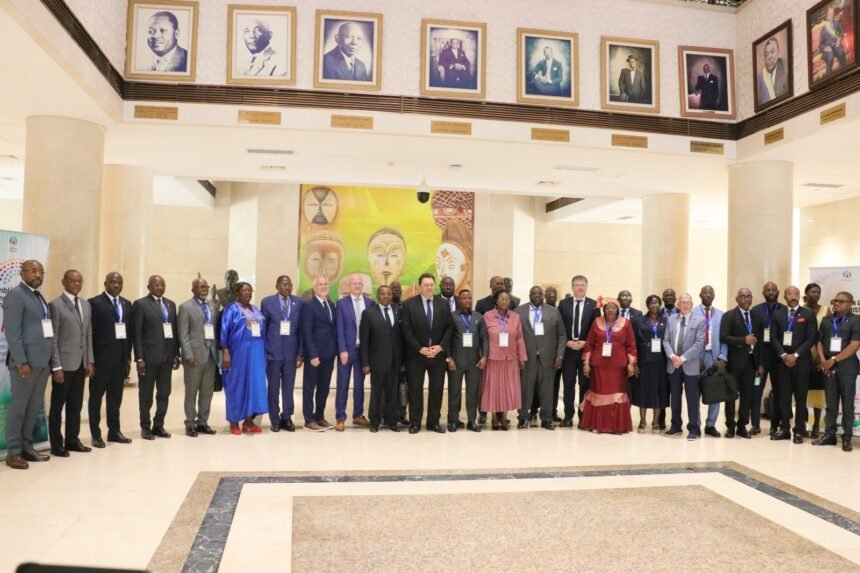 Séminaire de la CECC de l’APF : La Francophonie face au défi de la désinformation numérique.