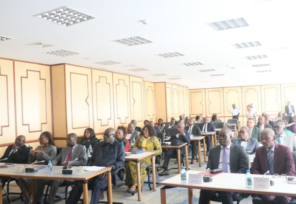 Audience : Cérémonie de présentation officielle du GTLAN et Site Web de l’Assemblée nationale.