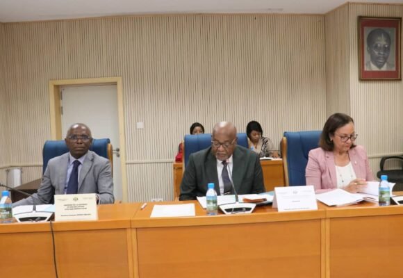 Travaux : Les députés auditionnent François Ndong Obiang sur la réorganisation de l’ARTF.