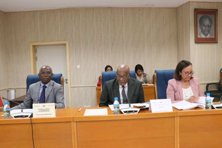 Travaux : Les députés auditionnent François Ndong Obiang sur la réorganisation de l’ARTF.
