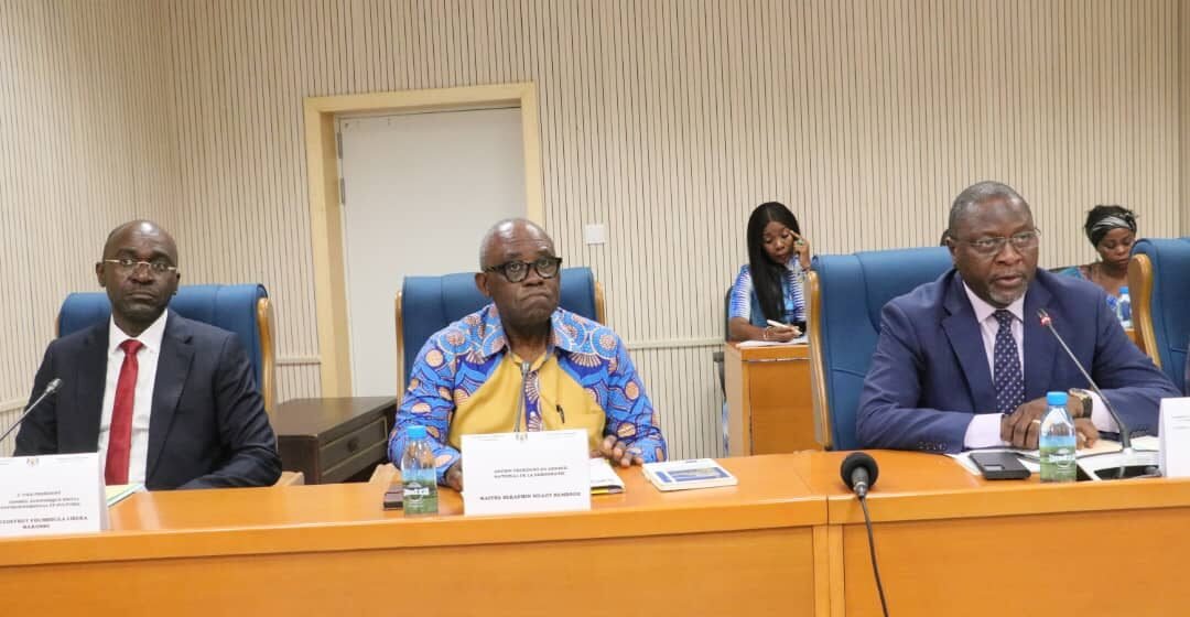 Travaux : Les Députés ont auditionné le Pr Kwenzi Mikala du CND et Foumboula Libeka Makosso du CESEC.