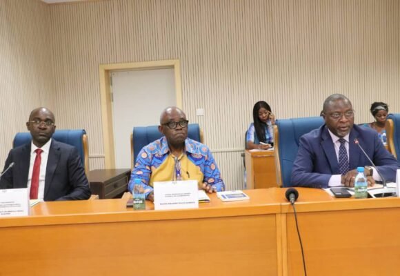 Travaux : Les Députés ont auditionné le Pr Kwenzi Mikala du CND et Foumboula Libeka Makosso du CESEC.