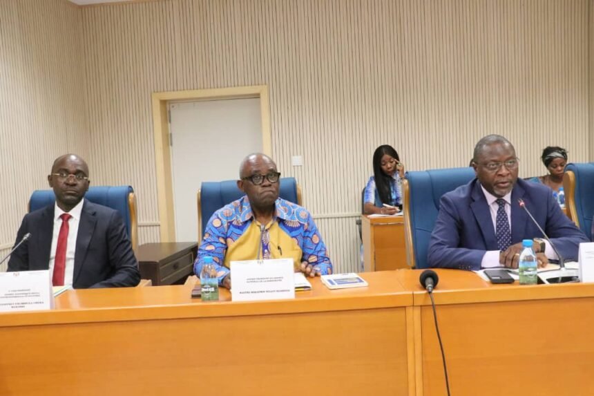 Travaux : Les Députés ont auditionné le Pr Kwenzi Mikala du CND et Foumboula Libeka Makosso du CESEC.
