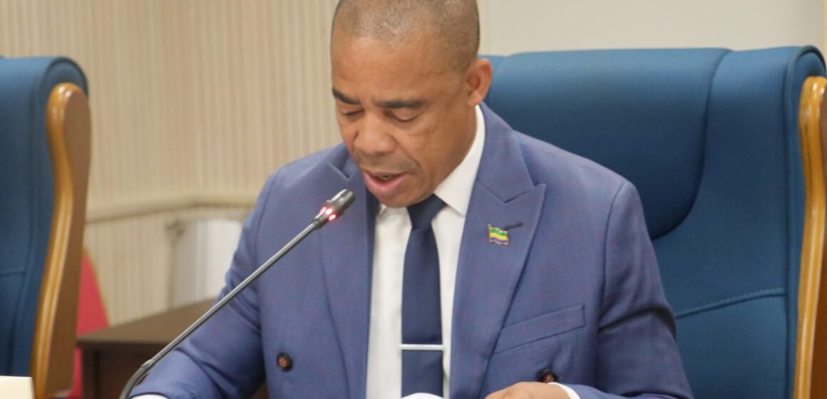 Travaux :  Le ministre de la Communication défend deux ordonnances relatives aux réformes du numérique au Gabon.