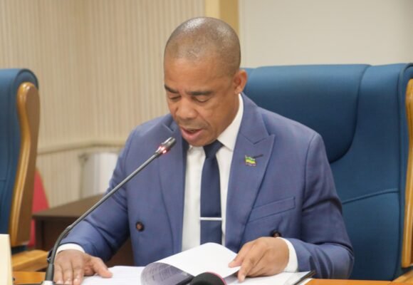 Travaux :  Le ministre de la Communication défend deux ordonnances relatives aux réformes du numérique au Gabon.