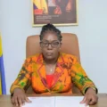 Cnamgs et rapport de l&rsquo;OMS : Le gouvernement gabonais dissipe les malentendus