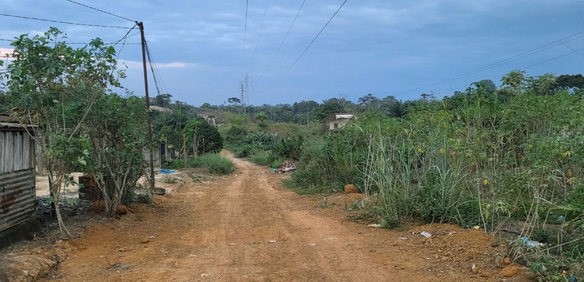 Machette, menaces et scènes inquiétantes : A Venez-Voir, les riverains de Ntoum réclament une intervention urgente