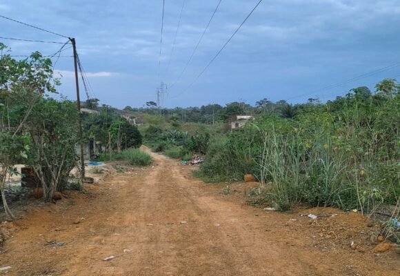 Machette, menaces et scènes inquiétantes : A Venez-Voir, les riverains de Ntoum réclament une intervention urgente
