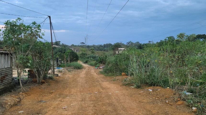 Machette, menaces et scènes inquiétantes : A Venez-Voir, les riverains de Ntoum réclament une intervention urgente